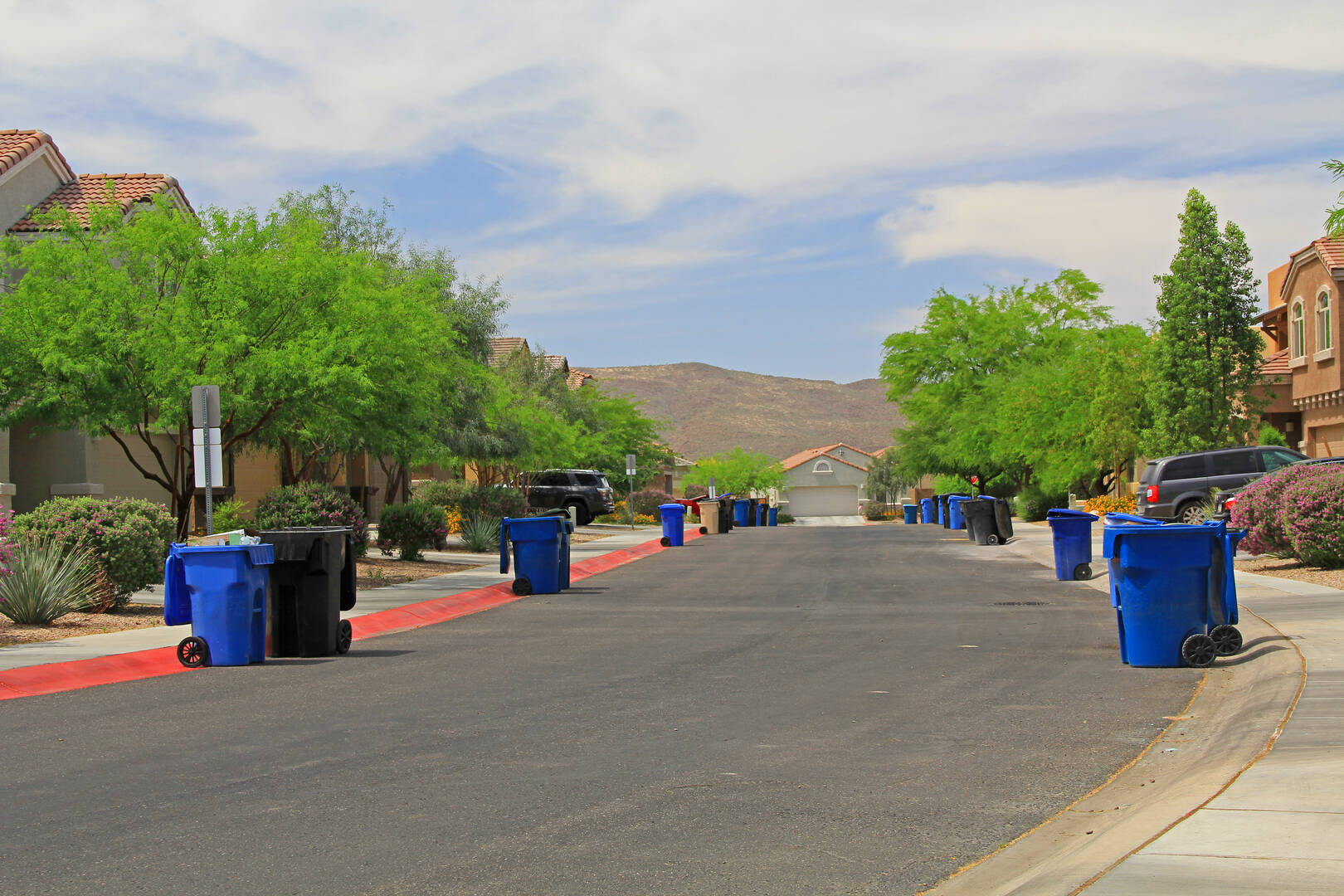 Dog Poop Cleanup Service Aurora CO